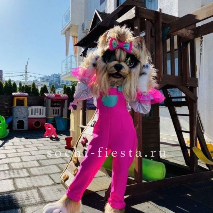 Аниматор Гламурная Собака в Йошкар-Оле