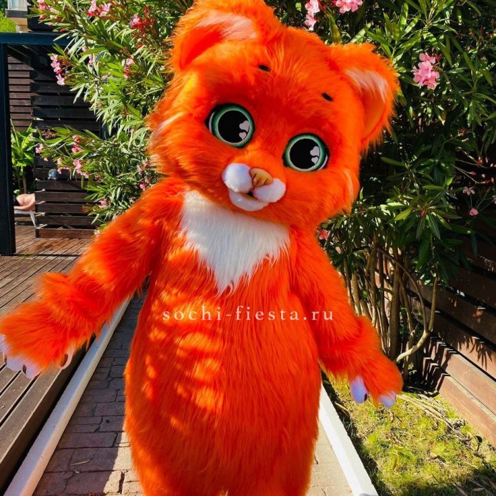 Аниматор Котик в Йошкар-Оле