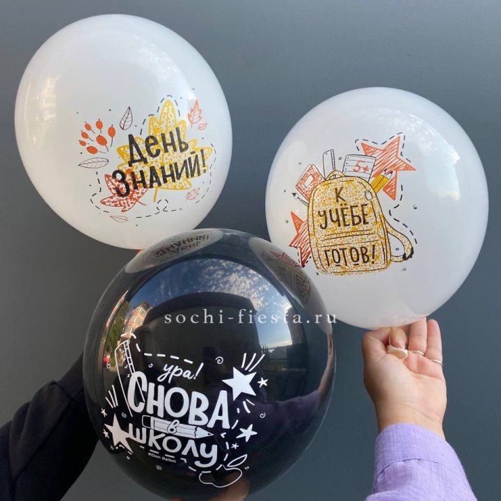 Воздушный шар к 1 сентября в Йошкар-Оле