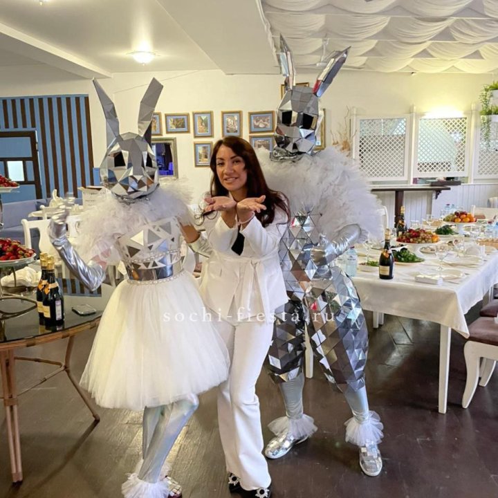 Аниматор Зеркальный заяц в Йошкар-Оле