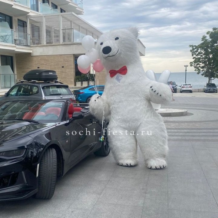 Аниматор Белый Медведь в Йошкар-Оле