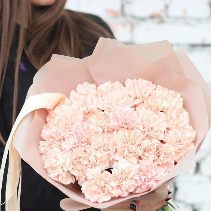 Диантусы №2 в Йошкар-Оле