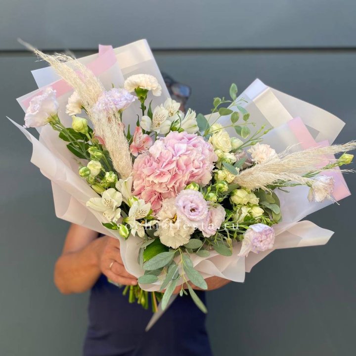 Гортензия "Пинк флоид" в Йошкар-Оле