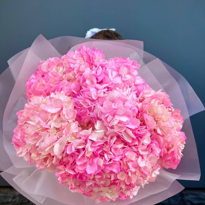 9 ярко розовых гортензий в Йошкар-Оле