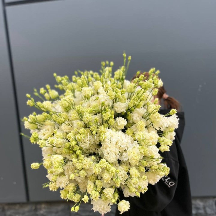 51 белая эустома в Йошкар-Оле