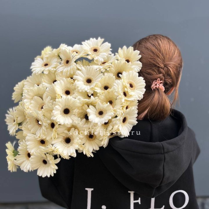 51 гербера в Йошкар-Оле