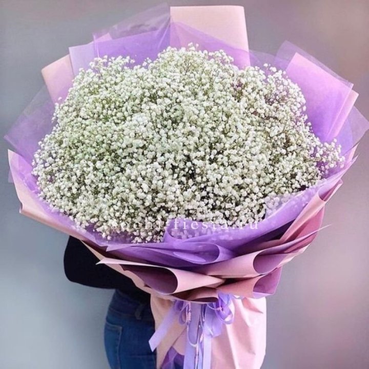 Облако белых гипсофил в Йошкар-Оле