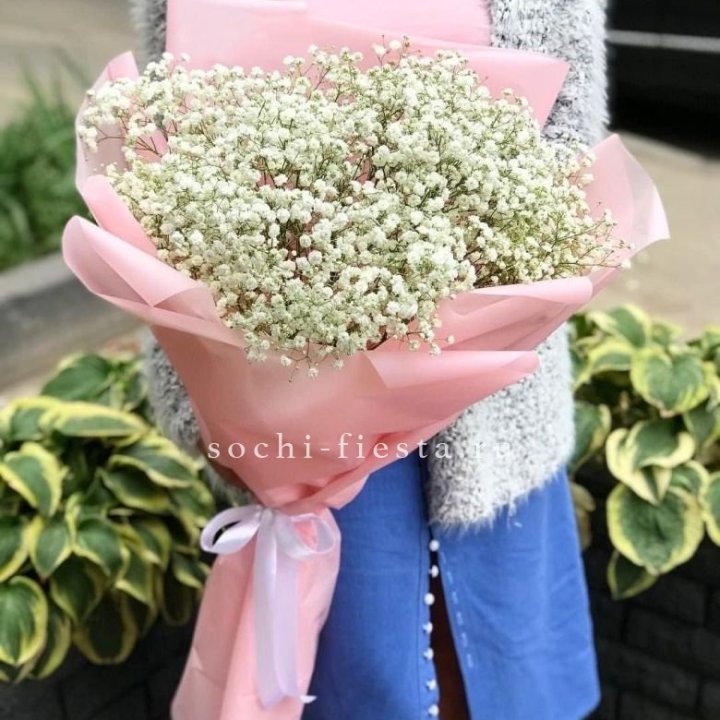 Белоснежные гипсофилы в Йошкар-Оле