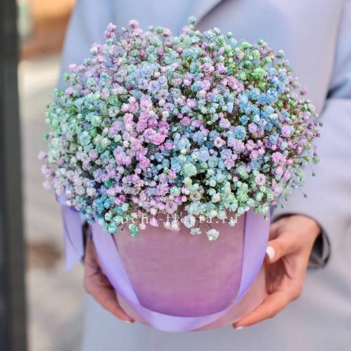 Гипсофилы в шляпной коробке "Кандилайт" в Йошкар-Оле