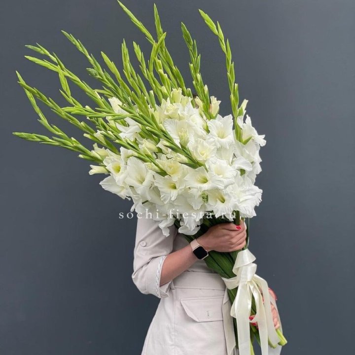 19 белых гладиолусов под ленту в Йошкар-Оле