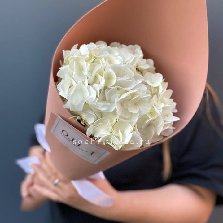 Гортензия в конверте в Йошкар-Оле
