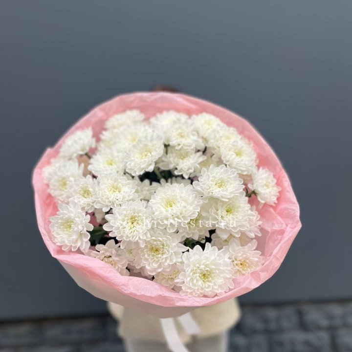  5 хризантем  в Йошкар-Оле