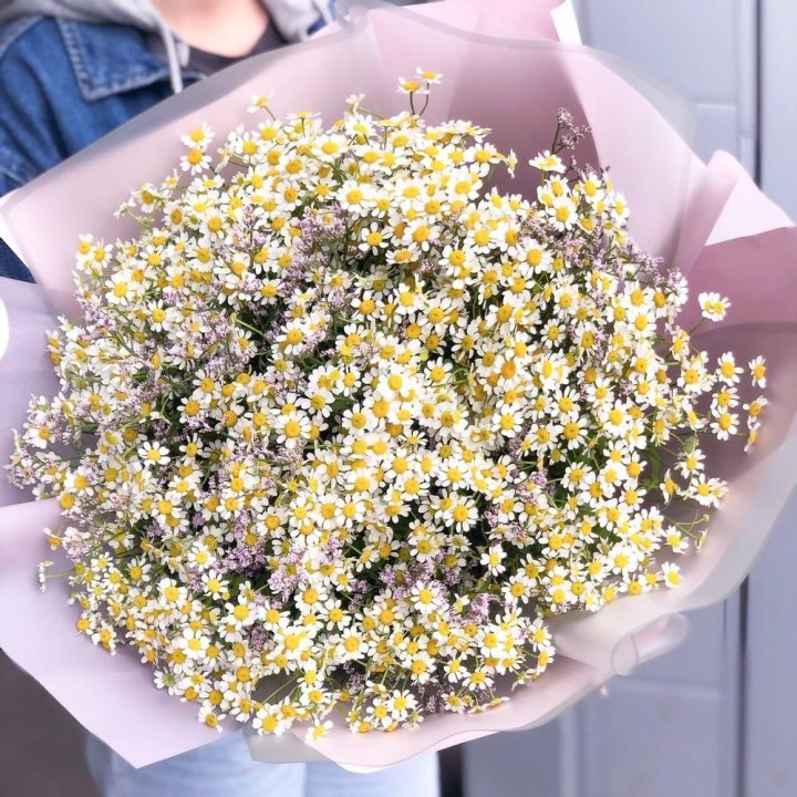 Букет ромашек №1 в Йошкар-Оле