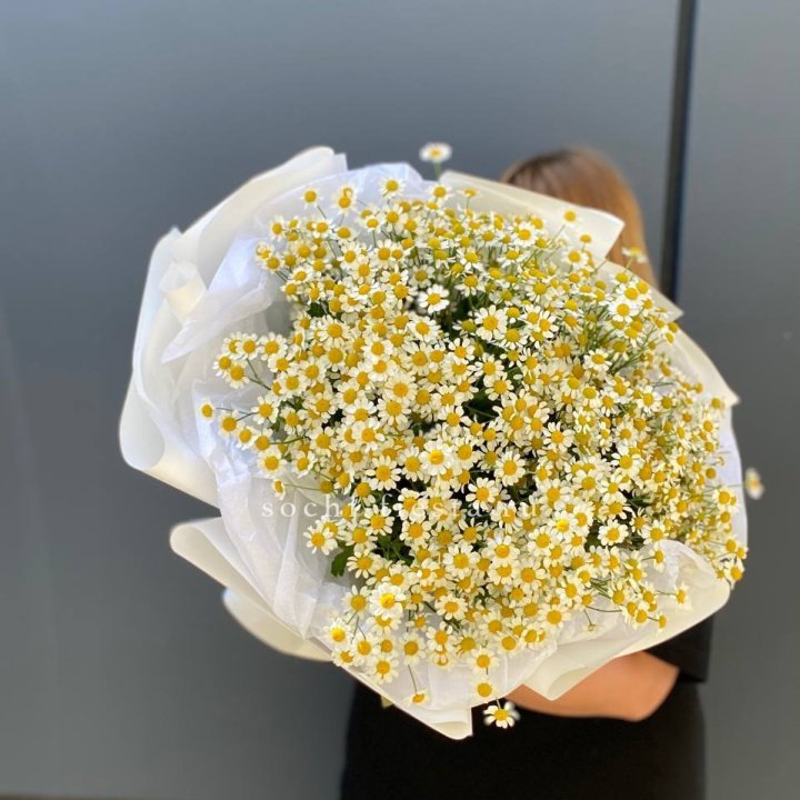 Букет ромашек "Фемели" в Йошкар-Оле