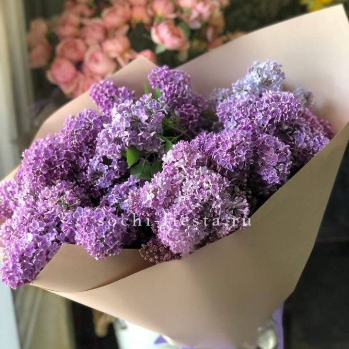 Букет сирени №2 в Йошкар-Оле