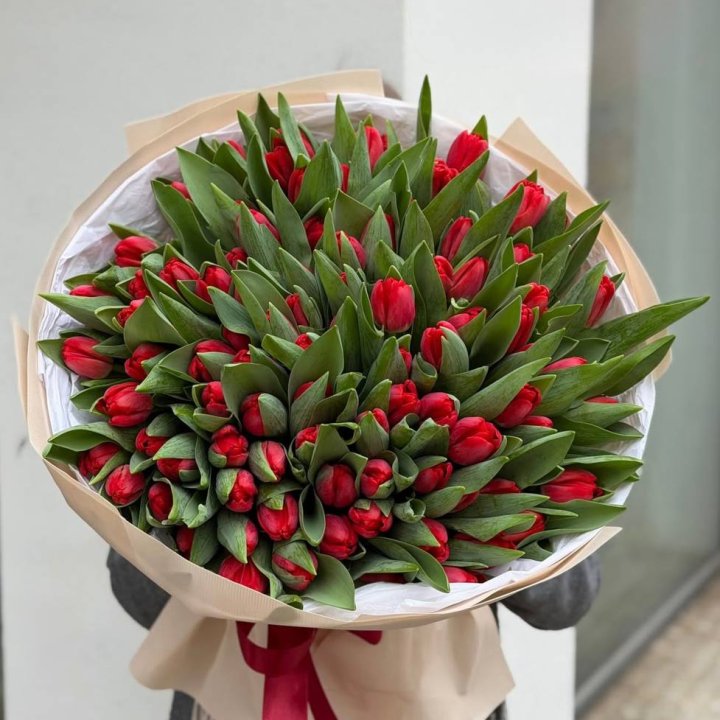 101 красный тюльпан в Йошкар-Оле