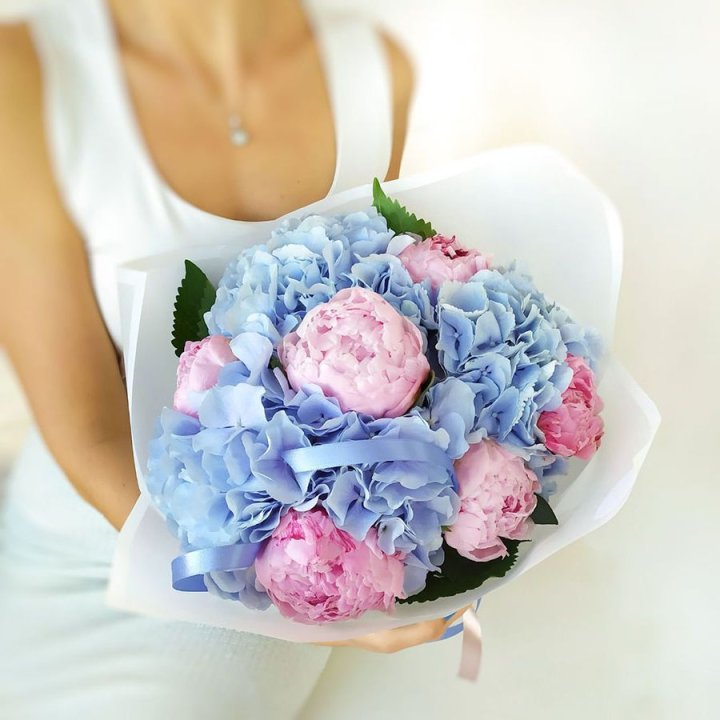 Гортензия и Пионы в Йошкар-Оле