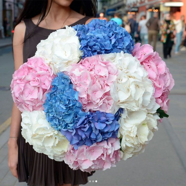 Букет гортензий "Инь-Янь" в Йошкар-Оле