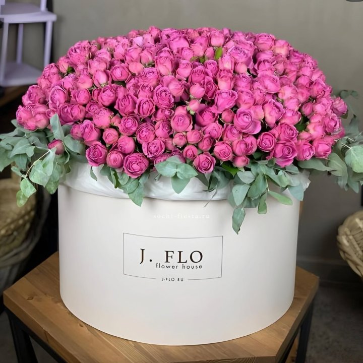 Цилиндр с Мисти Бабблс  в Йошкар-Оле