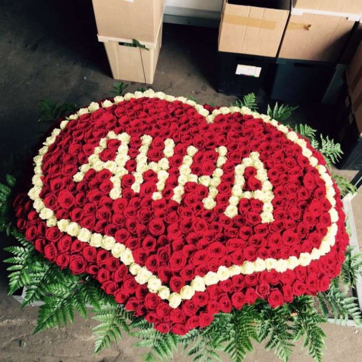 555 роз с именем в Йошкар-Оле