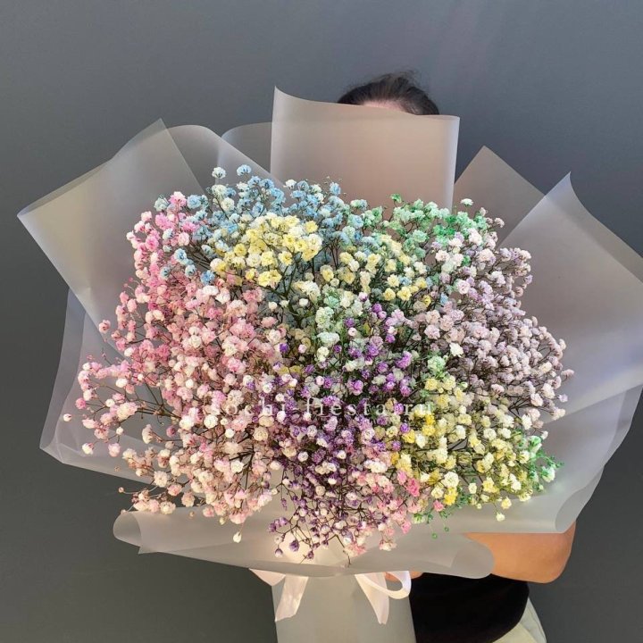 Радужные гипсофилы  в Йошкар-Оле