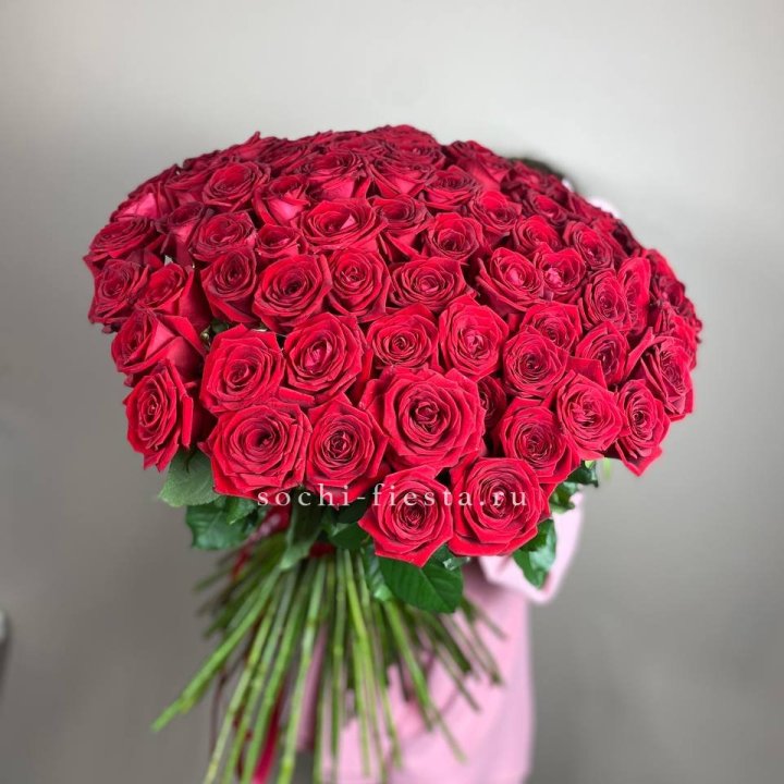 101  голландская роза  в Йошкар-Оле