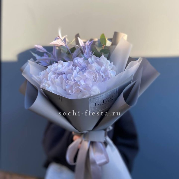 Гортензия "Виолета" в Йошкар-Оле
