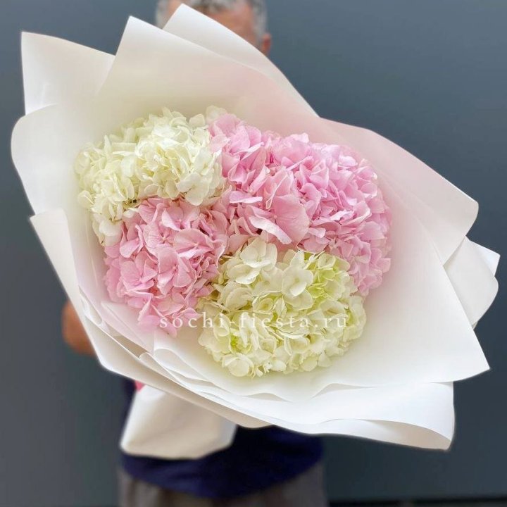 Букет гортензий №5 в Йошкар-Оле