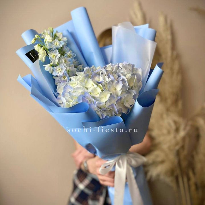 Гортензия "Блю скай" в Йошкар-Оле