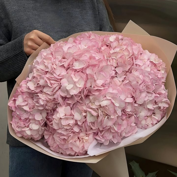 Гортензия  "РОЗЕ" в Йошкар-Оле