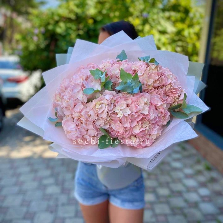 5 розовых гортензий  в Йошкар-Оле