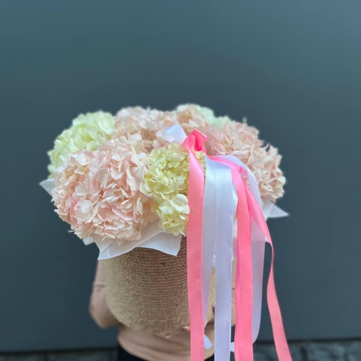 7 гортензий в кашпо в Йошкар-Оле