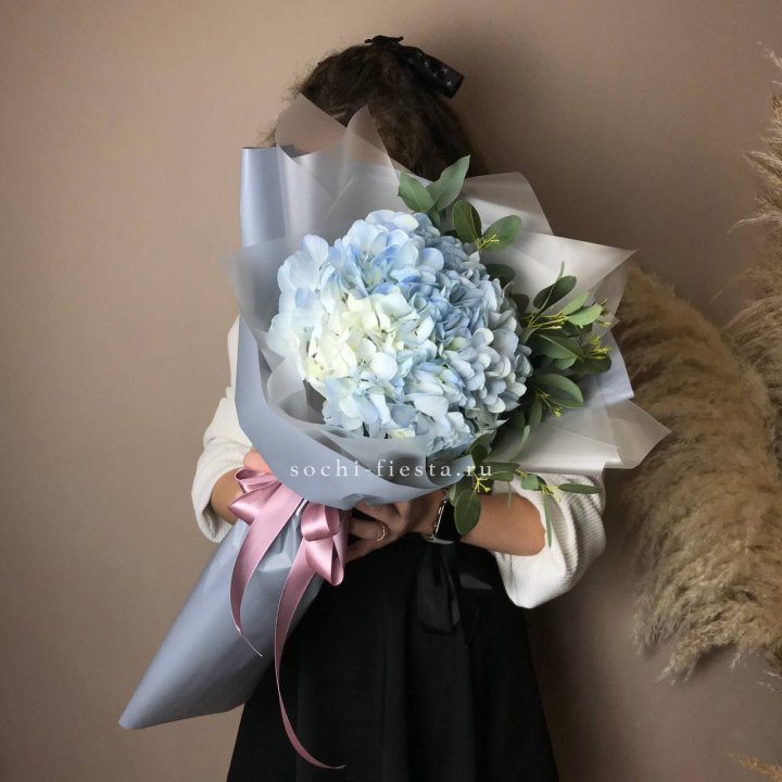 Гортензия Уно в Йошкар-Оле