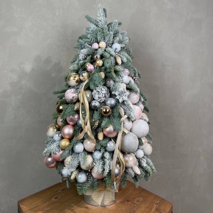 Новогодняя ёлка из веток датского нобилиса в Йошкар-Оле