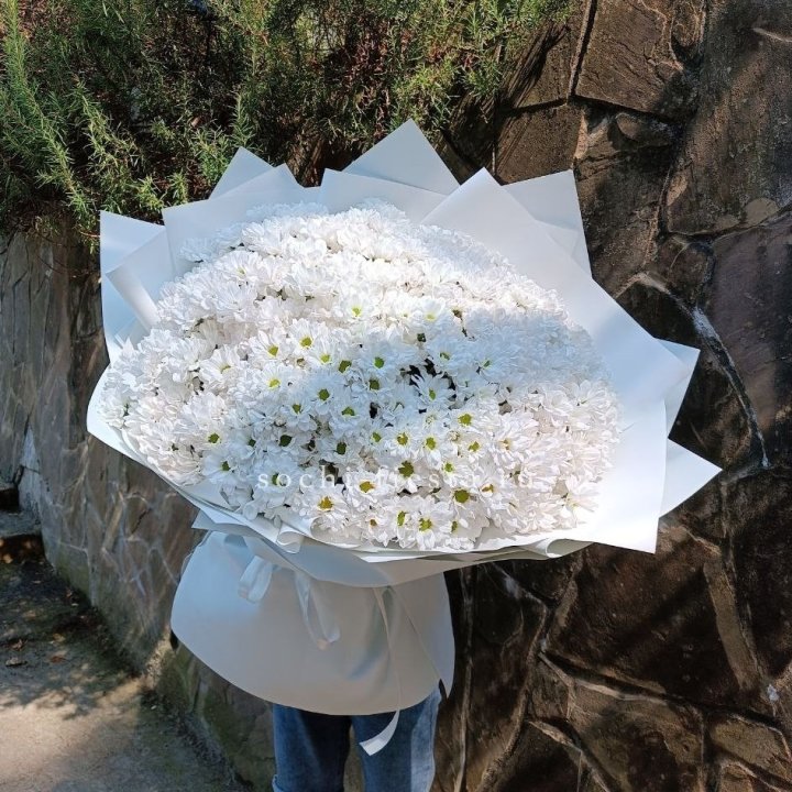 Облако хризантем №2 в Йошкар-Оле