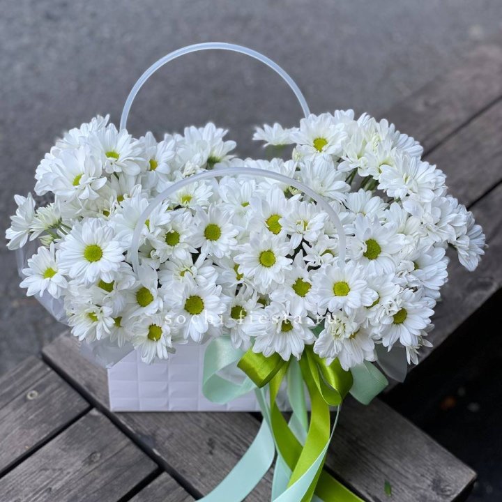 Сумка с хризантемами ромашками в Йошкар-Оле