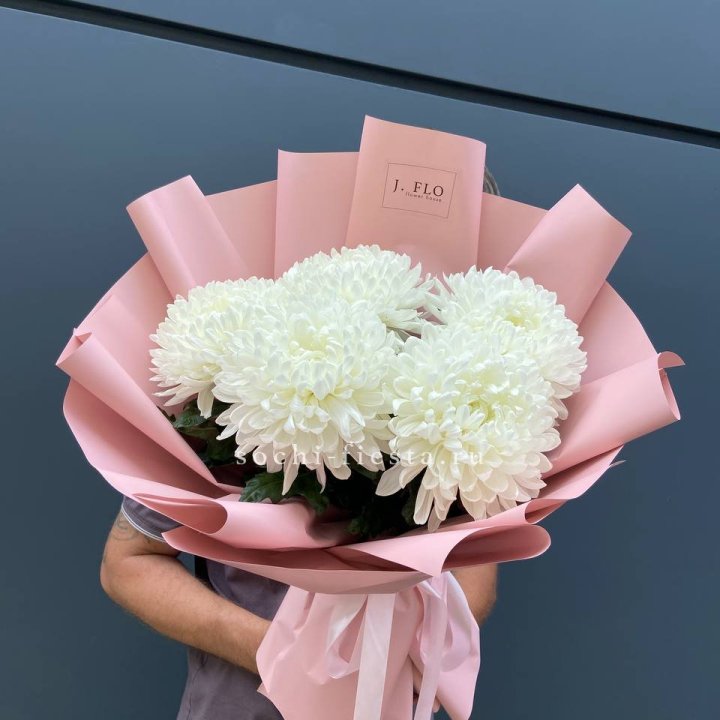 Профитроли №2 в Йошкар-Оле