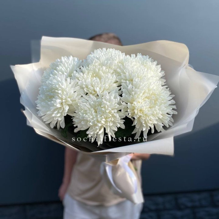 Профитроли в Йошкар-Оле