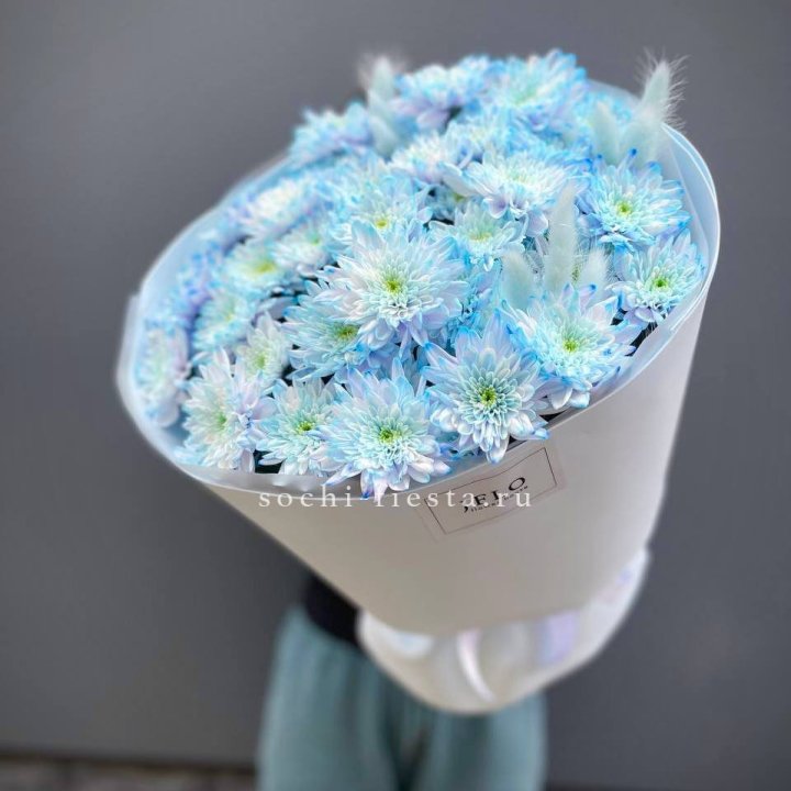  Букет нежно-голубых хризантем  в Йошкар-Оле