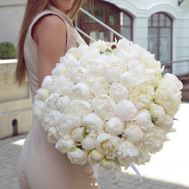 51 белый пион в Йошкар-Оле