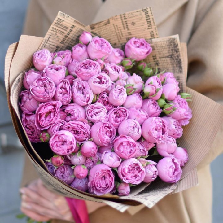 Роза Мисти Баблс в Йошкар-Оле