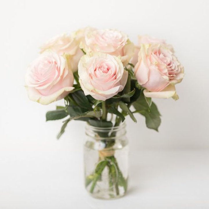 7 кремовых роз в Йошкар-Оле