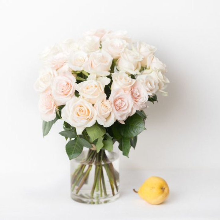 25 кремовых роз в Йошкар-Оле