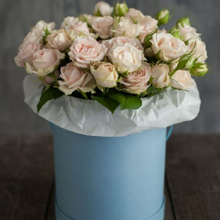 Бокс с бомбастиком в Йошкар-Оле