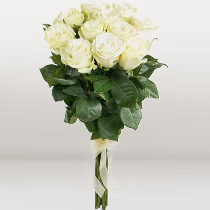 11 белых голландских роз в Йошкар-Оле