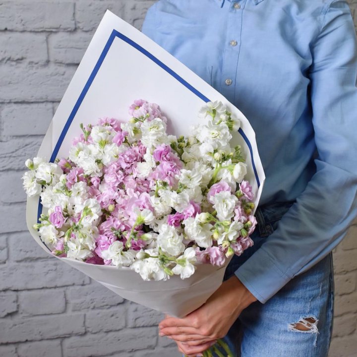 Маттиола в Йошкар-Оле