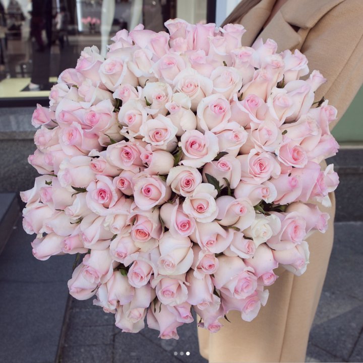 Розы "Пинк бум" в Йошкар-Оле