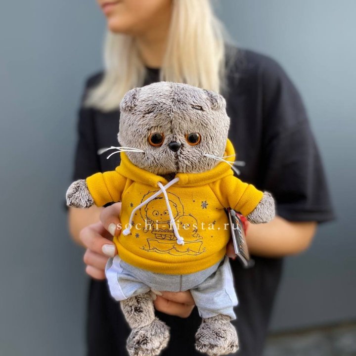 Кот Басик в худи в Йошкар-Оле