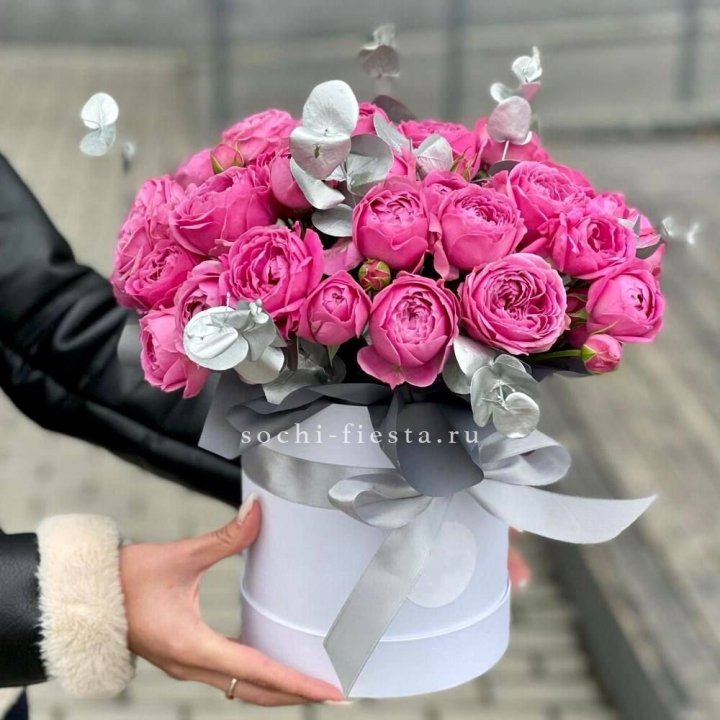 Бокс мисти баблс №2 в Йошкар-Оле