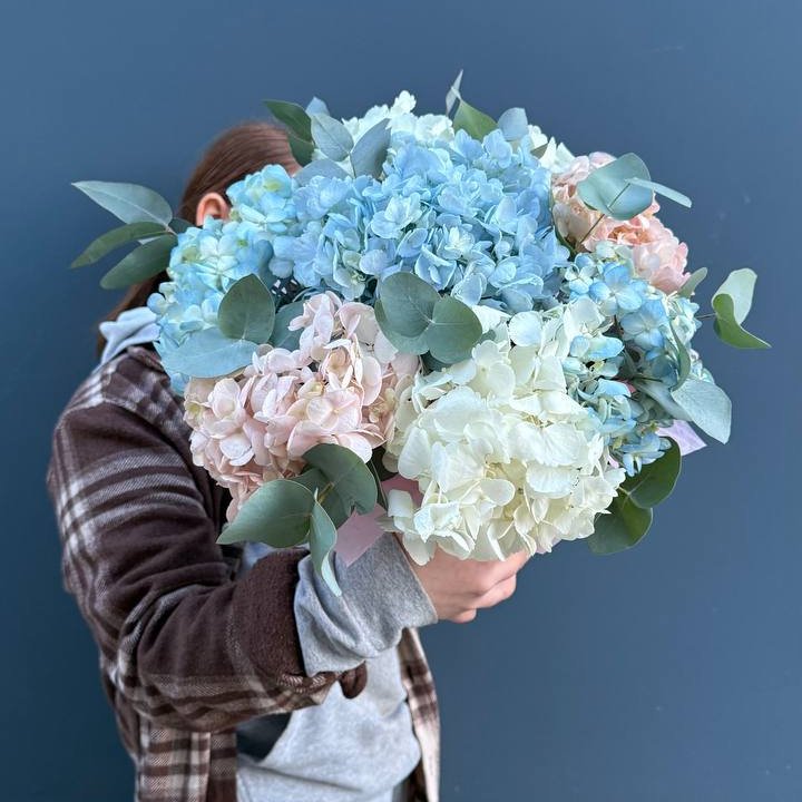 Гортензии в коробочке в Йошкар-Оле